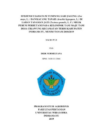 Cover of Efisiensi Usahatani Tumpangsari Jagung dan Kacang Tanah di Lahan Tanaman Jati Milik Perhutani pada Kelompok Tani Maju Tani Desa Cikawung Kecamatan Terisi Kabupaten Indramayu, Musim Tanam 2018/2019 