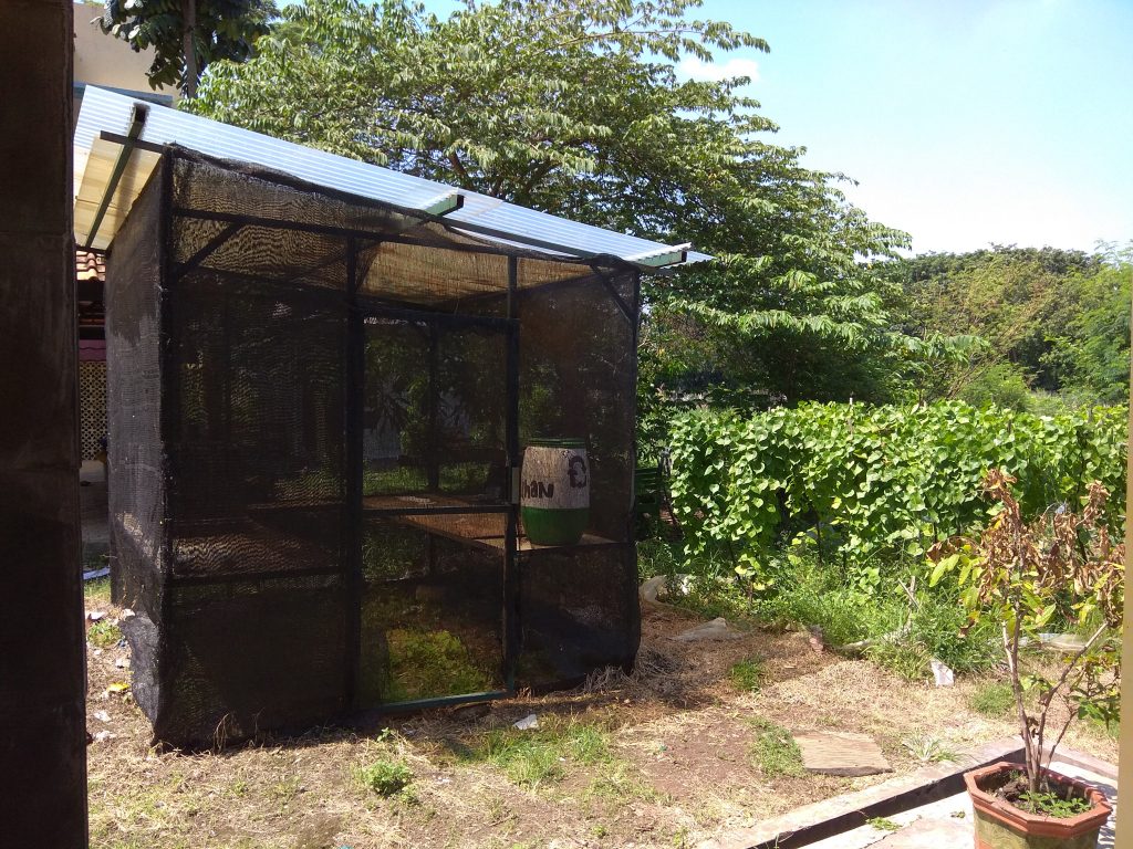 kebun2