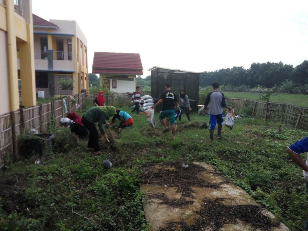 kebun5