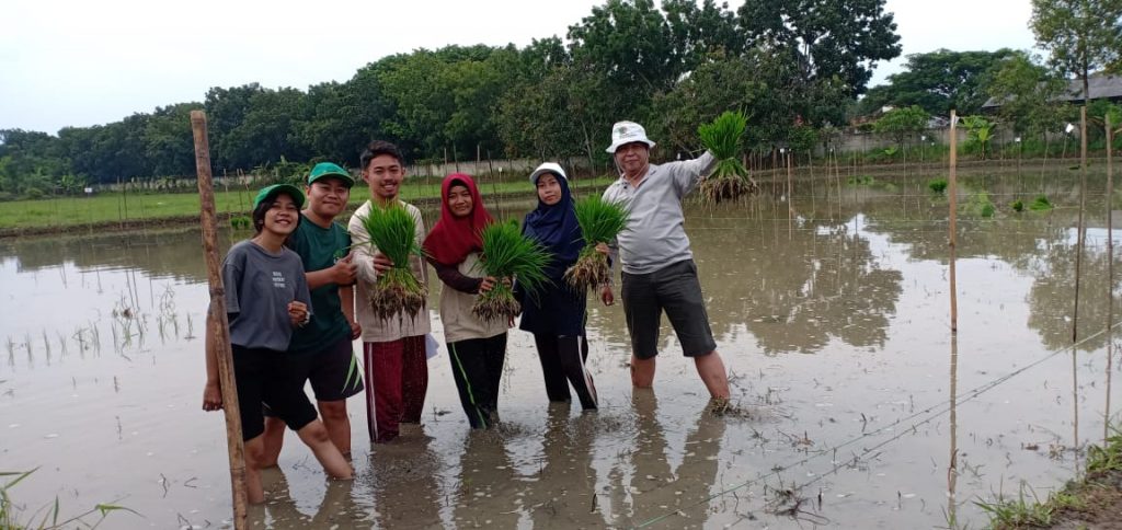 kebun7