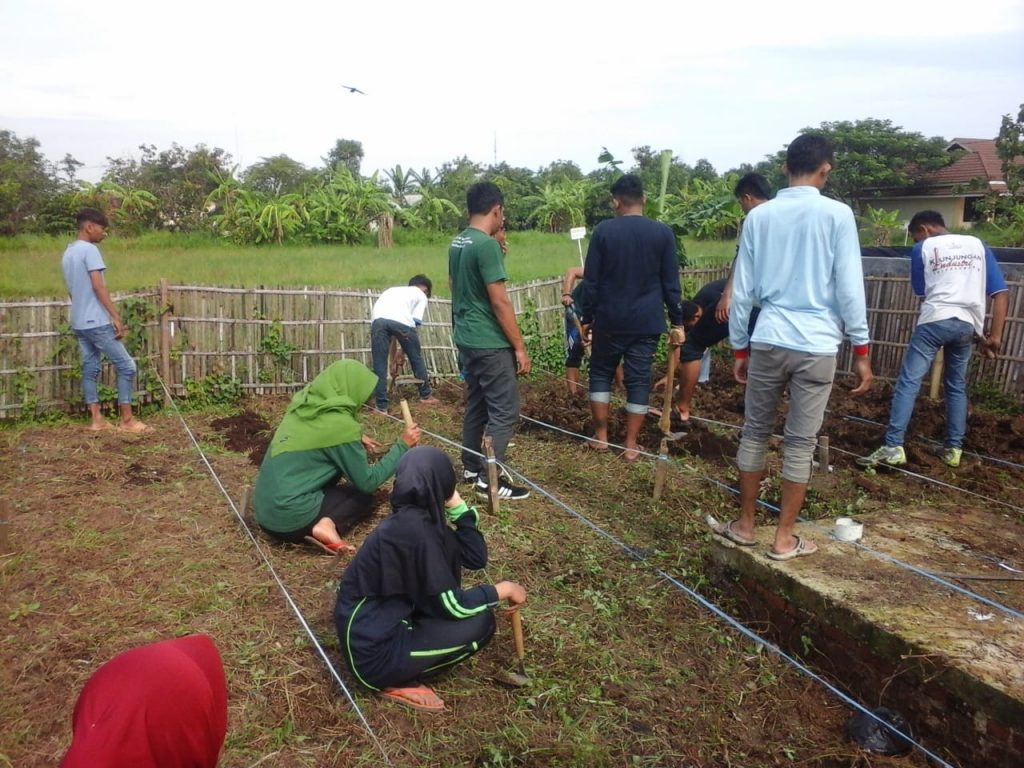 kebun8
